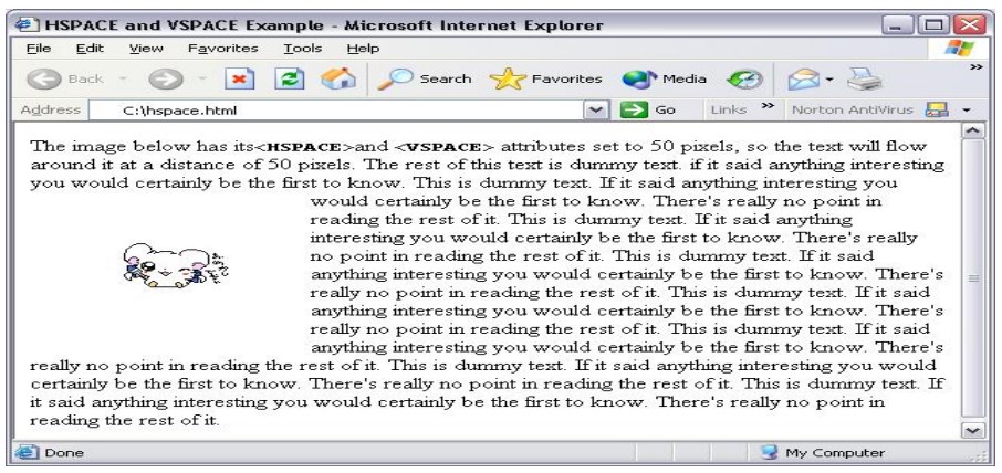 Bahasa HTML dengan Atribut HSPACE dan VSPACE 